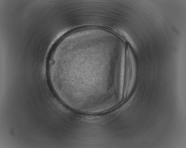 X0000116630780200912241811