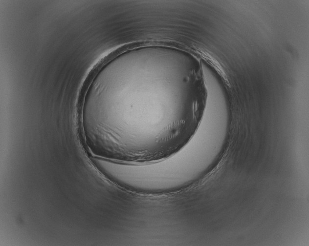 X0000116630784200912241811