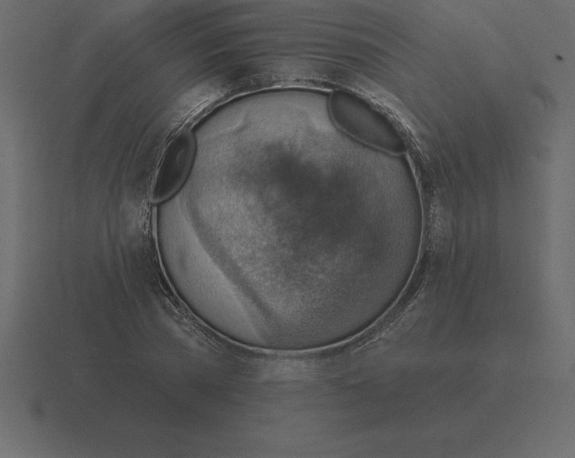 X0000116630785200912241811