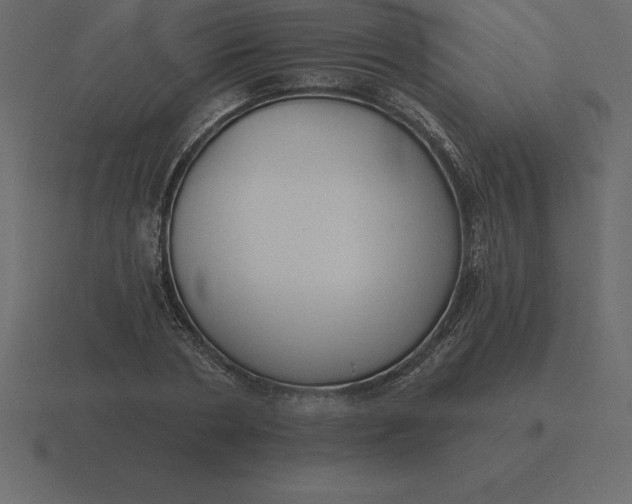 X0000116630786200912241811