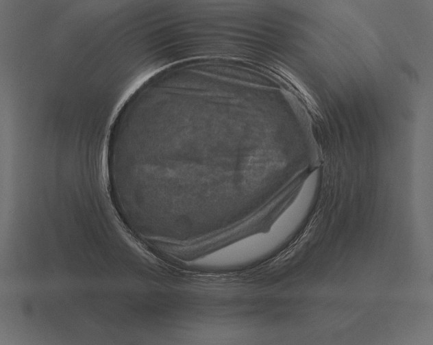 X0000116630788200912241811