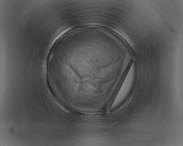 X0000116630790200912241811