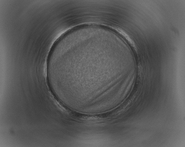 X0000116630791200912241811