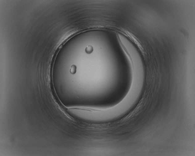 X0000116630794200912241811