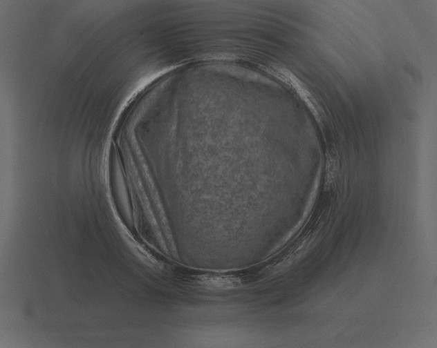 X0000116630795200912241811