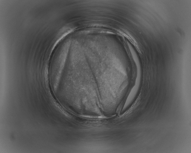 X0000116630798200912241811