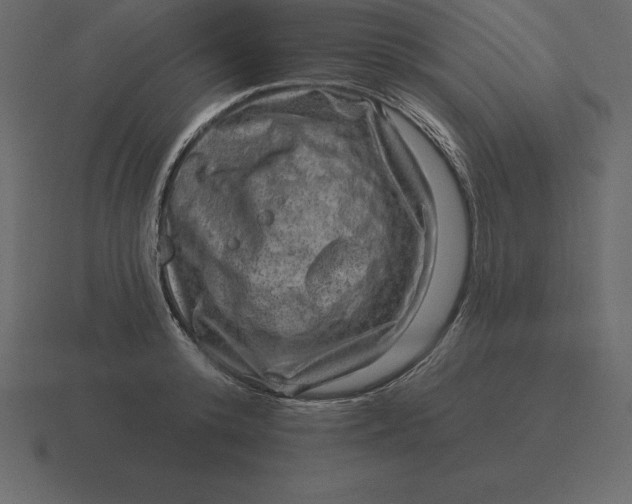 X0000116630800200912241811