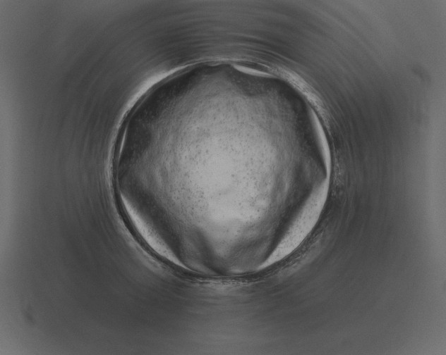 X0000116630803200912241811