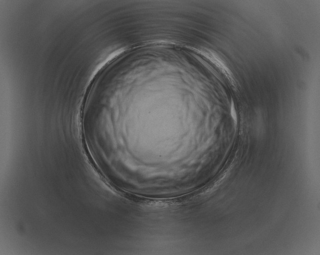 X0000116630806200912241811