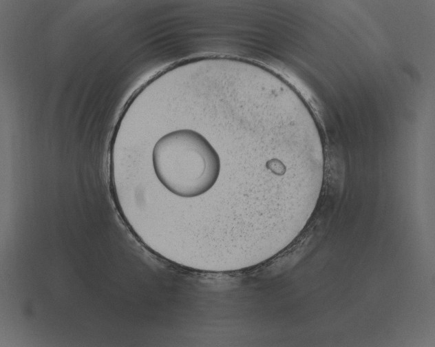 X0000116630807200912241811