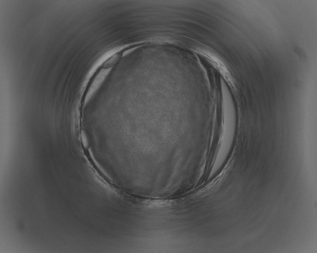 X0000116630808200912241811