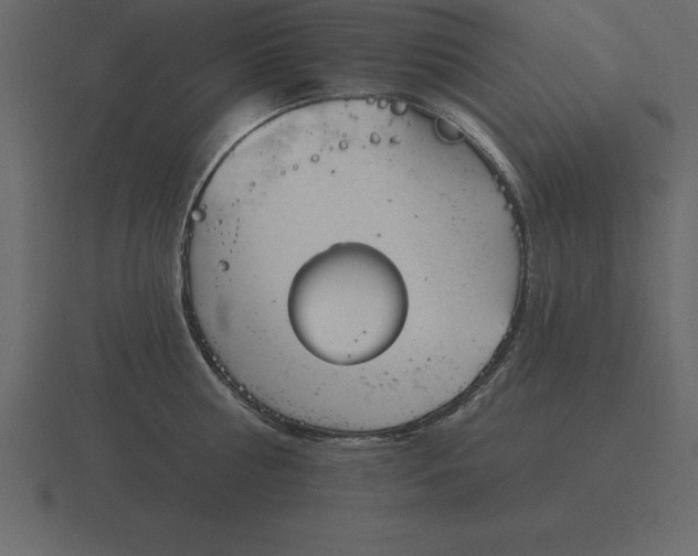 X0000116630810200912241811