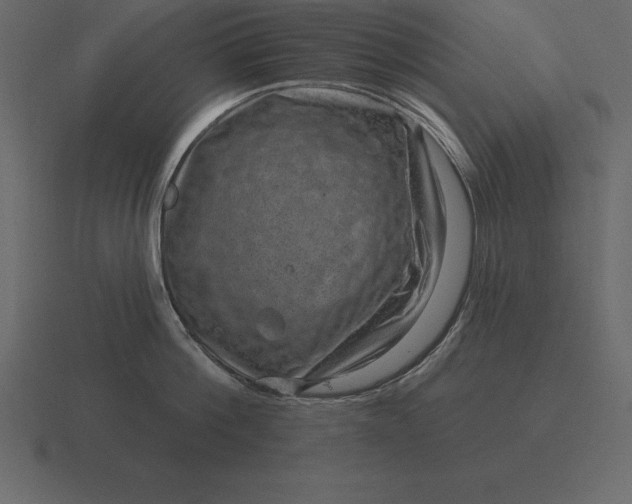 X0000116630812200912241811