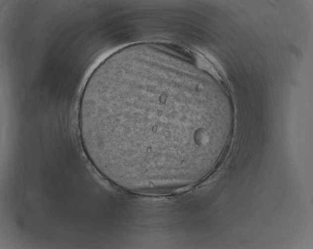 X0000116630816200912241811