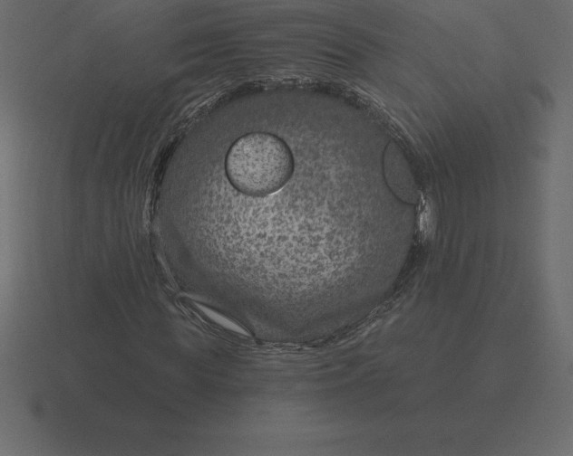 X0000116630819200912241810