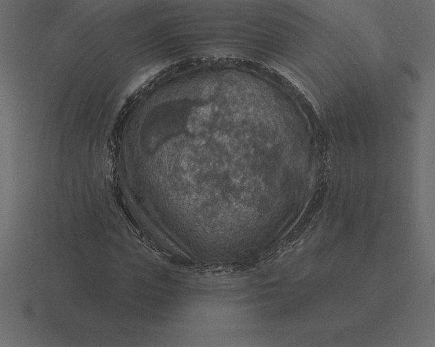 X0000116630823200912241810