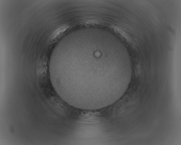 X0000116630824200912241810