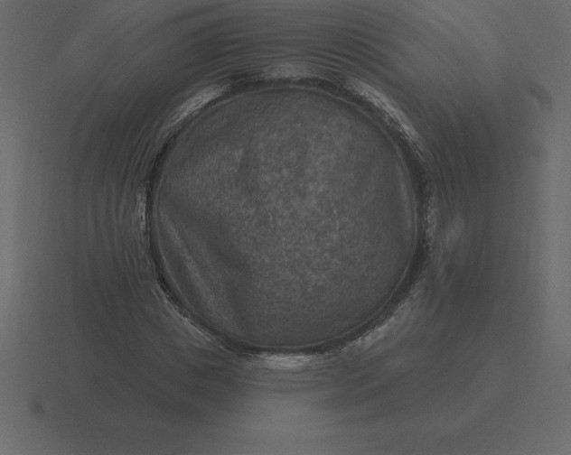 X0000116630825200912241810