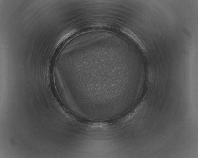 X0000116630826200912241810