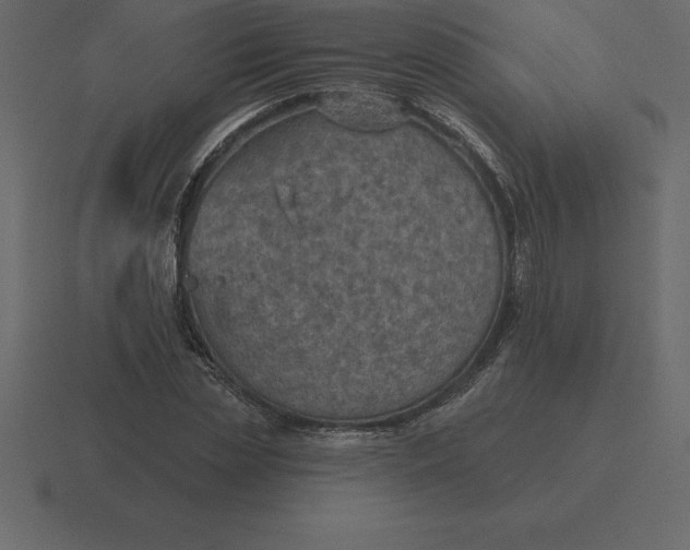 X0000116630829200912241810