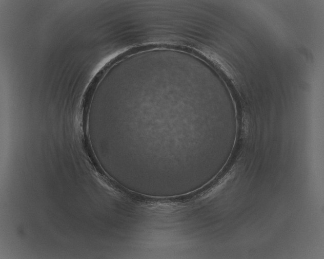 X0000116630830200912241811