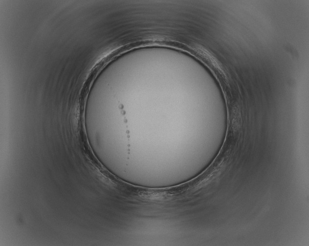 X0000116630831200912241811