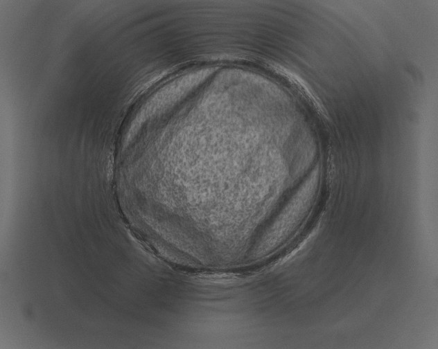 X0000116630833200912241811