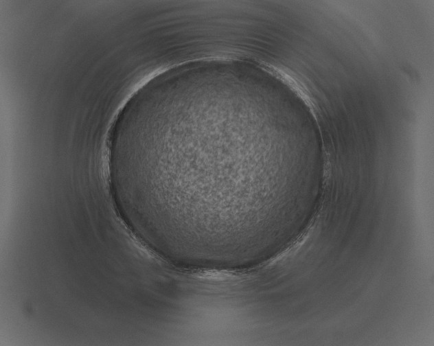 X0000116630835200912241811