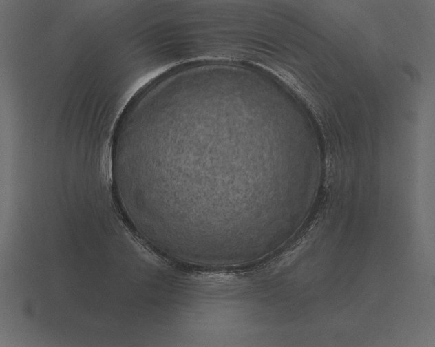 X0000116630838200912241811