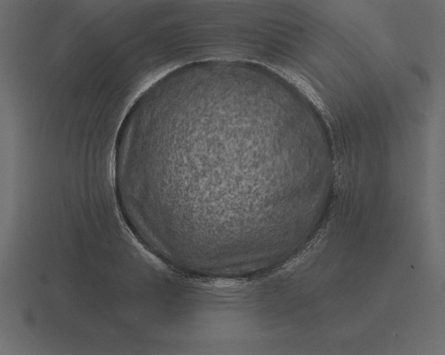 X0000116630839200912241811