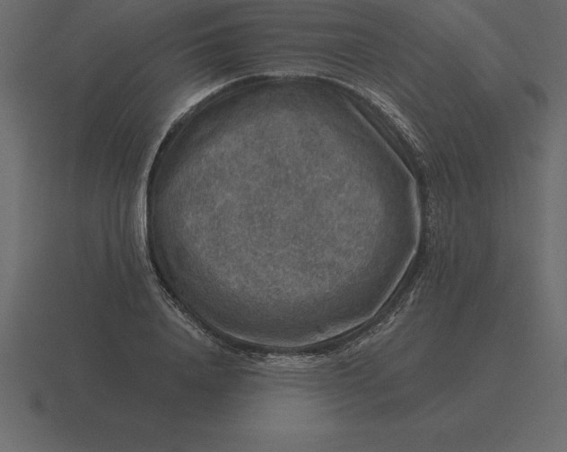 X0000116630840200912241811