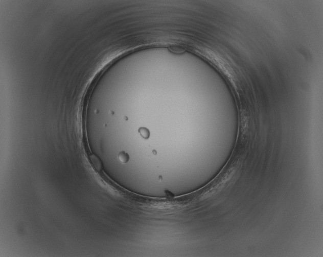 X0000116630843200912241811