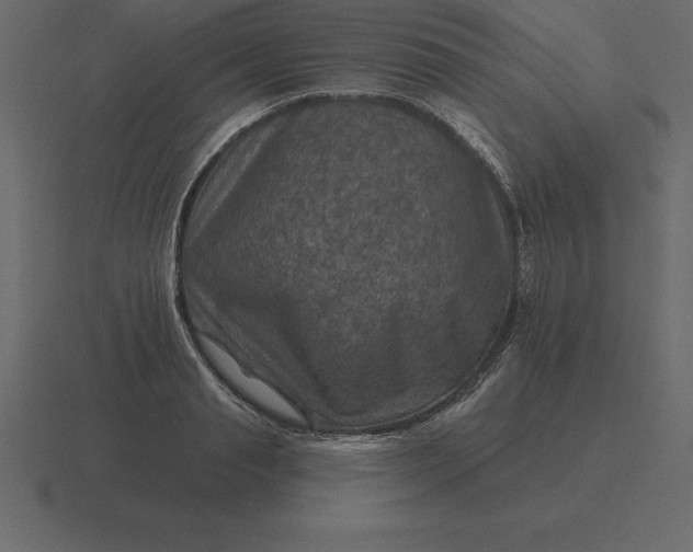 X0000116630845200912241811