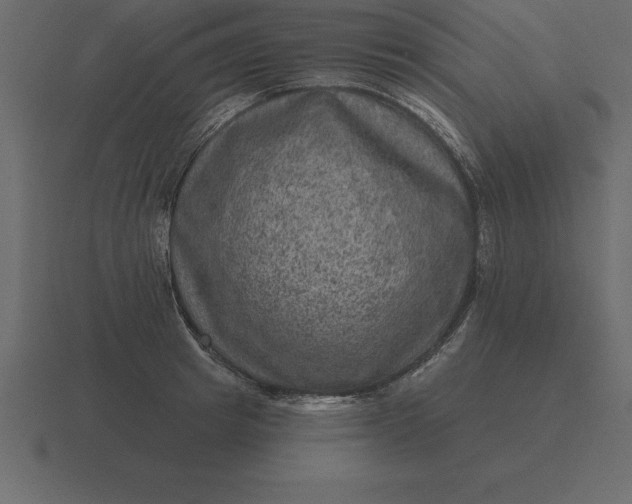 X0000116630849200912241811