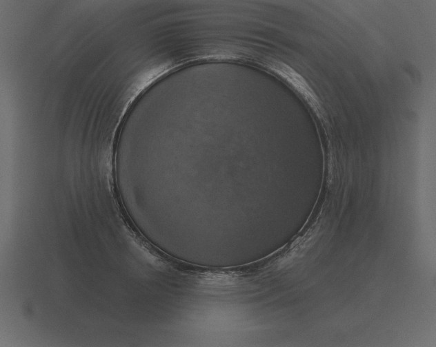 X0000116630850200912241811