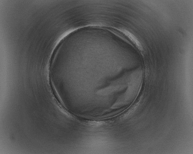 X0000116630854200912241811