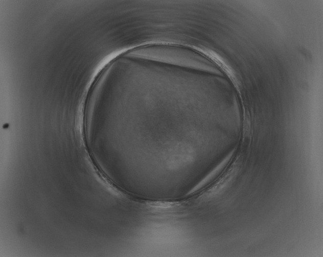 X0000116630862200912241811