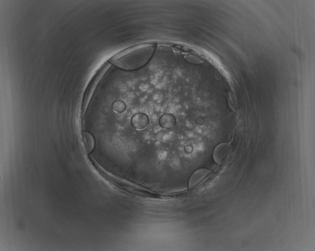 X0000116630863200912241811