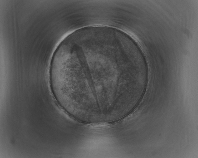 X0000116630864200912241811