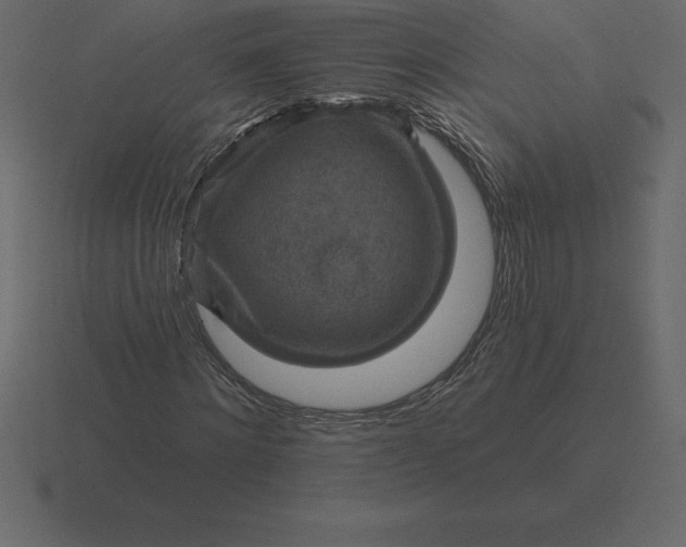 X0000116630868200912241810