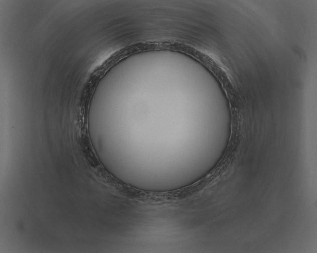 X0000116630871200912241810