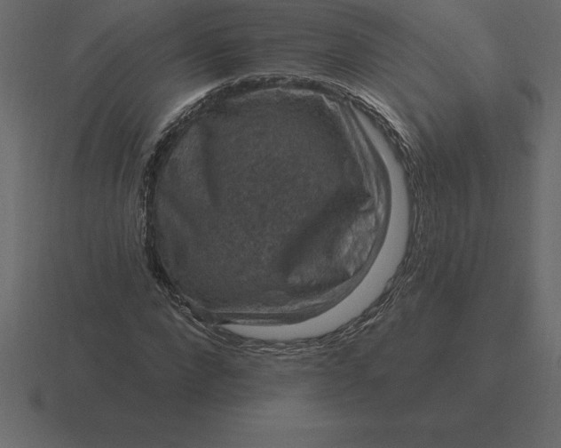 X0000116630872200912241810