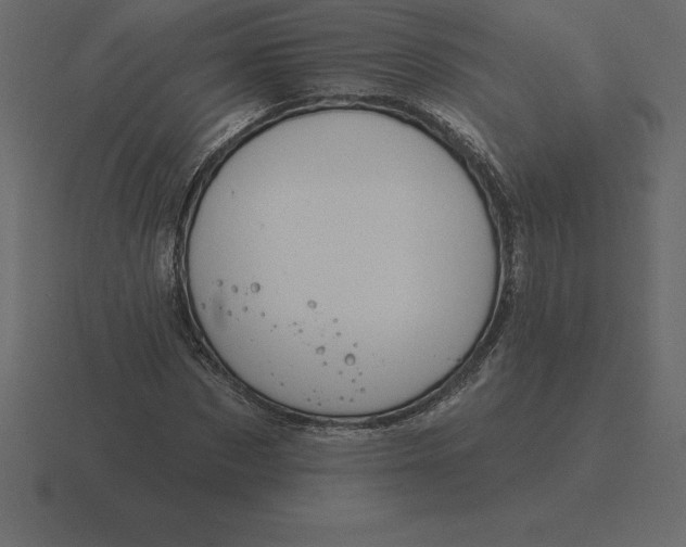 X0000116630873200912241810