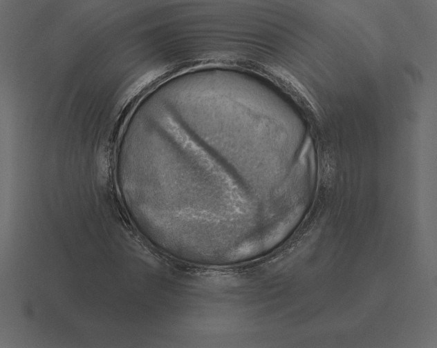 X0000116630874200912241810