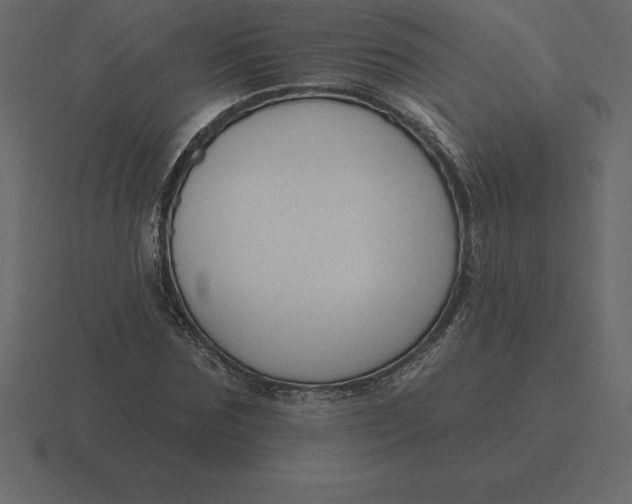 X0000116630875200912241810