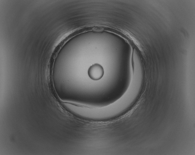 X0000116630877200912241810