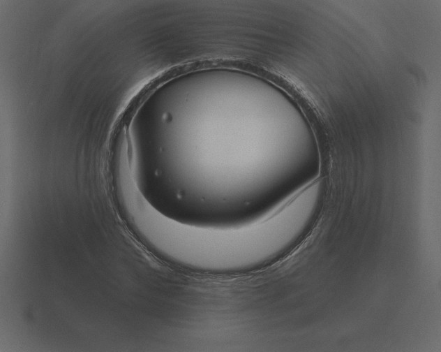 X0000116630878200912241810