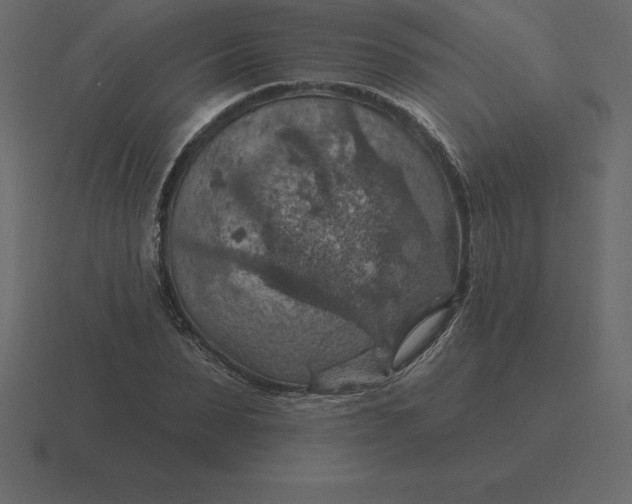 X0000116630879200912241810