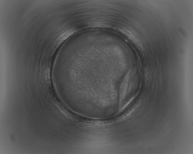 X0000116630881200912241810