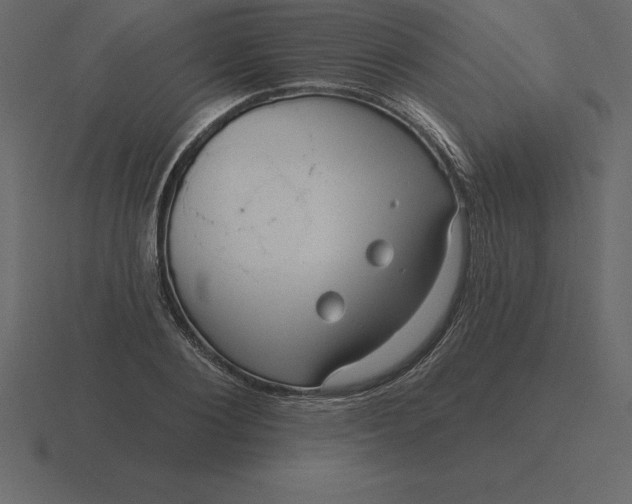 X0000116630884200912241810